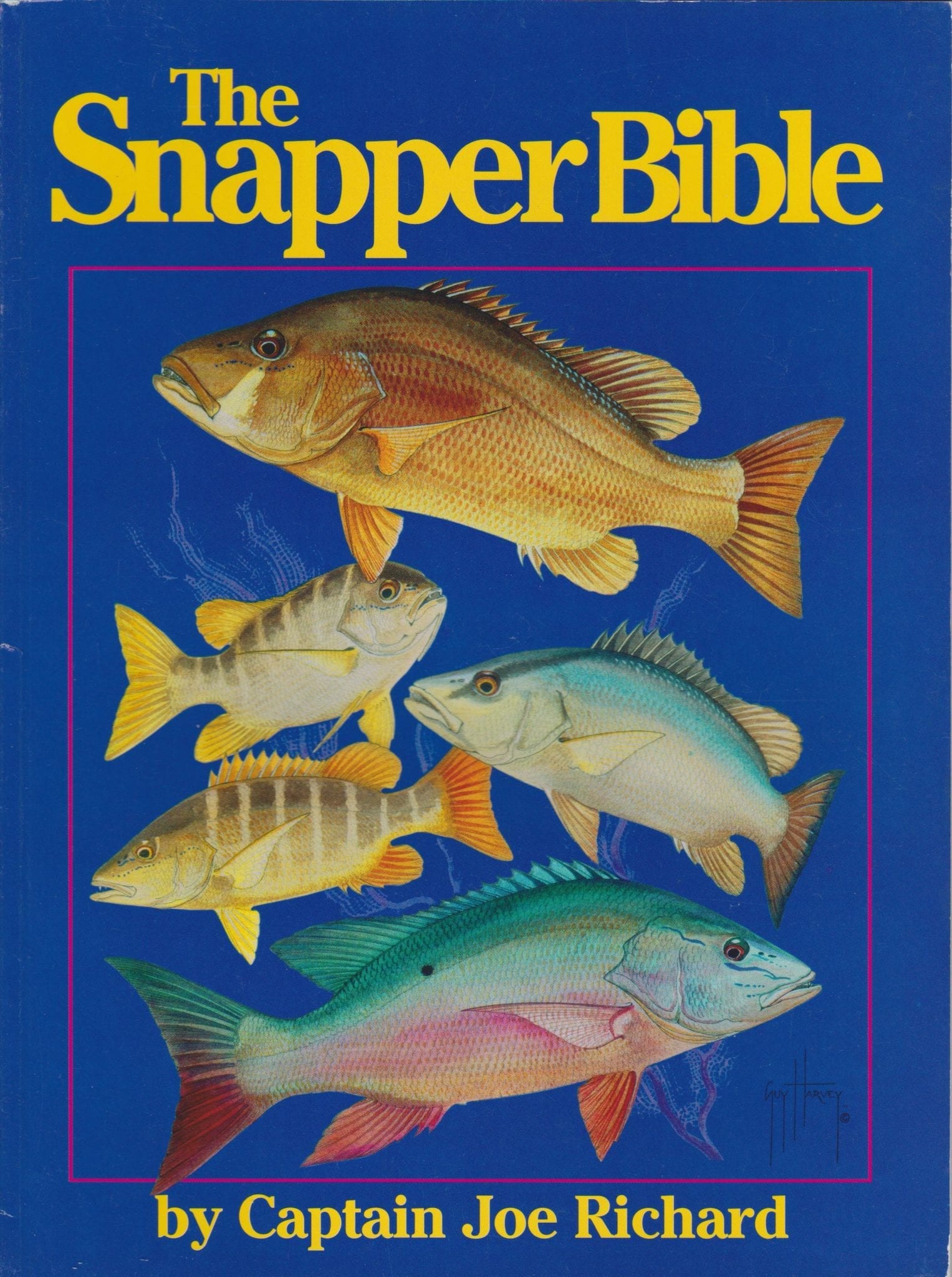 SnapperBible – Sunburst Books