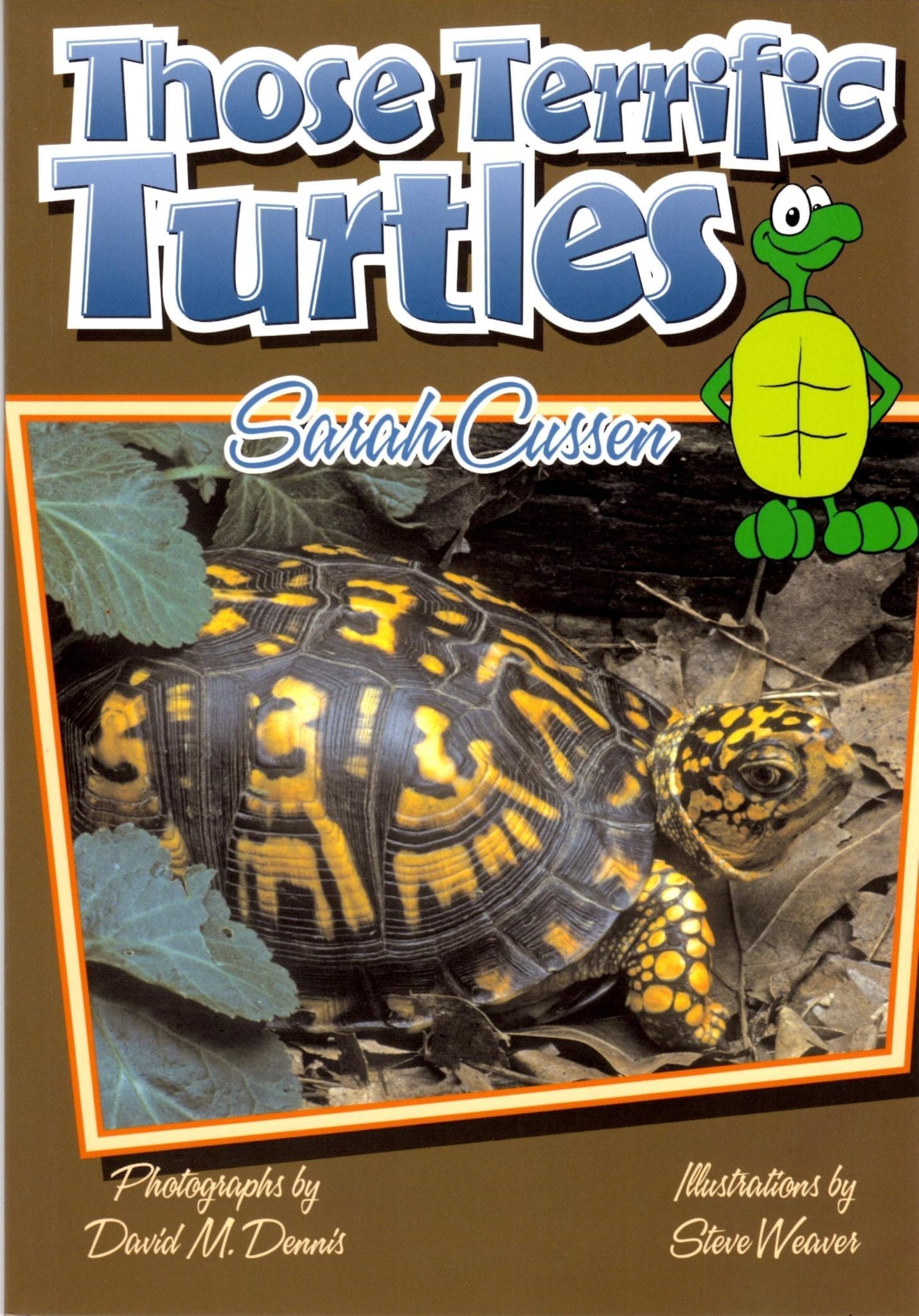 ThoseTerrificTurtles – Sunburst Books